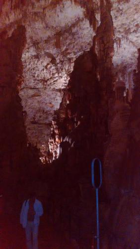 2016-06-20 10-42-18.JPG