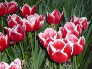 2014-04-29 01-16-57.JPG
