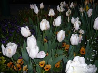 2014-04-29 01-14-36.JPG