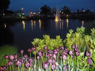 2014-04-29 01-22-39.JPG
