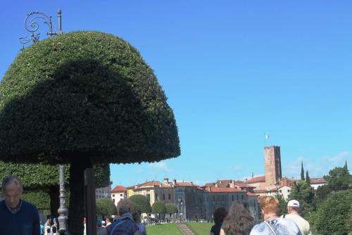 2016-06-17 08-13-59.JPG