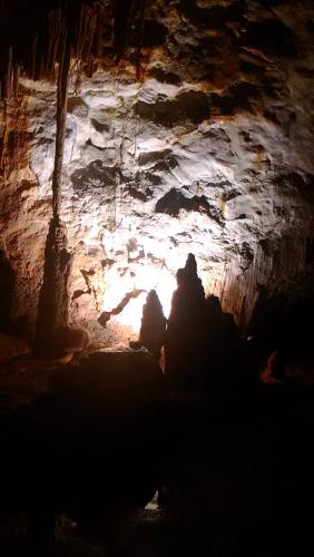 2016-06-20 11-37-01.JPG