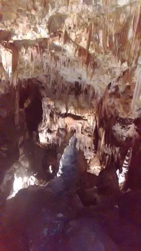 2016-06-20 10-48-10.JPG