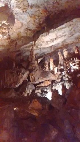 2016-06-20 10-48-39.JPG