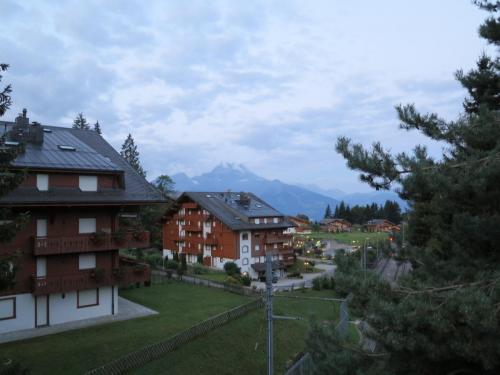 IMG_0008.JPG