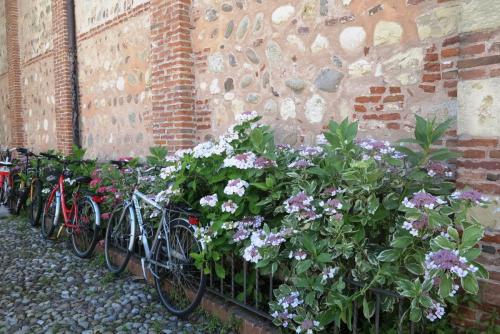 2016-06-17 08-55-14.JPG