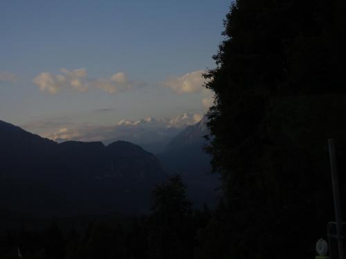 IMG_0015.JPG