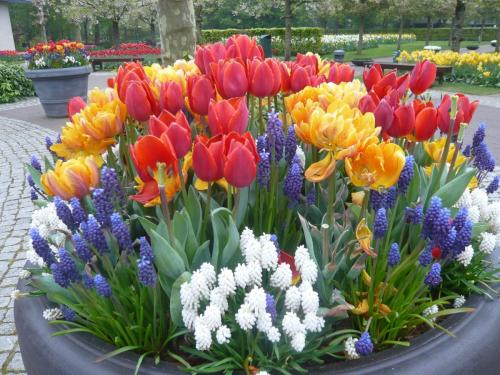 2014-04-30 12-54-07.JPG