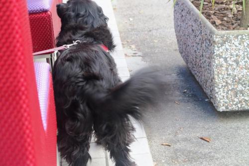 2016-06-16 18-10-49.JPG