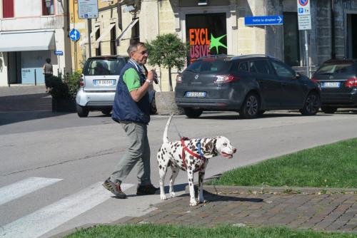 2016-06-17 08-22-37.JPG