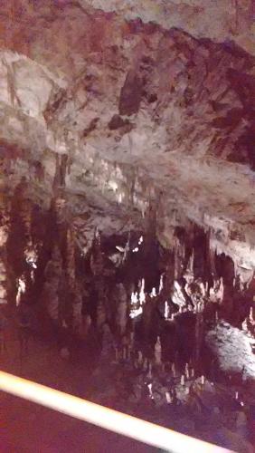 2016-06-20 10-45-03.JPG