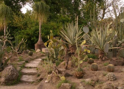 botanischer-garten-1.jpg