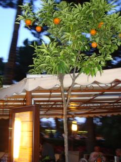DSC03659.JPG