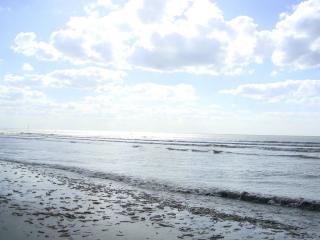 DSC05293.JPG