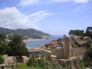 DSC04248.JPG