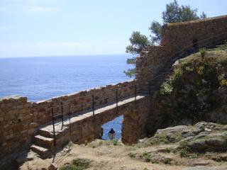 DSC04218.JPG