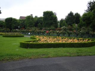 DSC03413.JPG
