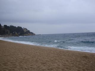 DSC04018.JPG