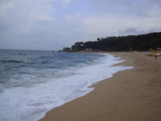 DSC03928.JPG