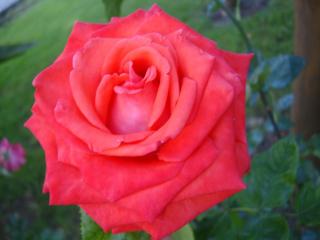 DSC03684.JPG