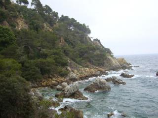 DSC03981.JPG