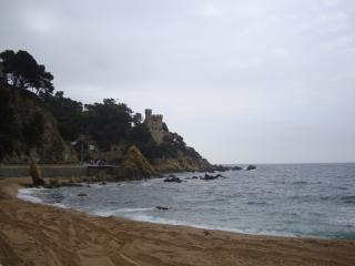 DSC03950.JPG