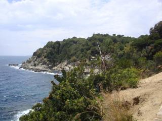 DSC04303.JPG
