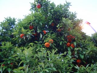 DSC03627.JPG