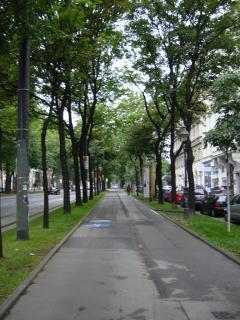 DSC03439.JPG