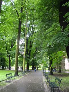 DSC03205.JPG