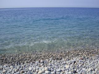 DSC03772.JPG