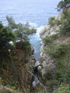 DSC04003.JPG