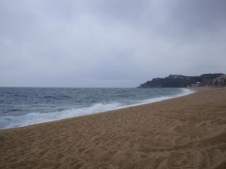 DSC04017.JPG