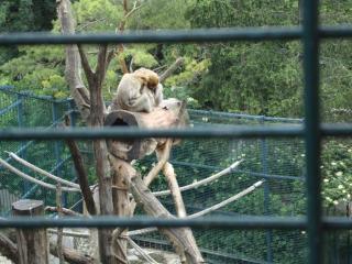 DSC03270.JPG