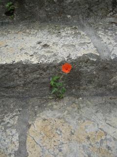 DSC04691.JPG