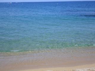 DSC04410.JPG