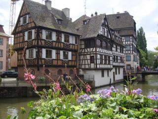 DSC05464.JPG