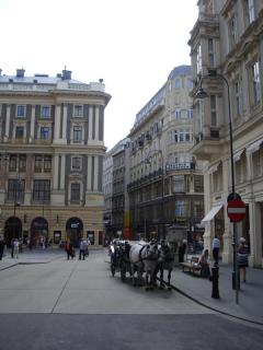 DSC09286.JPG