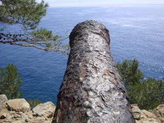 DSC04171.JPG