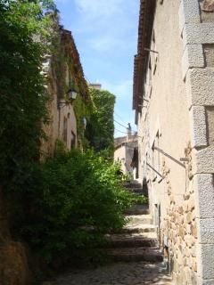 DSC04219.JPG
