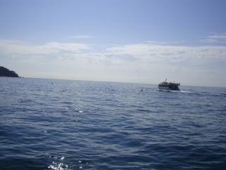 DSC04075.JPG