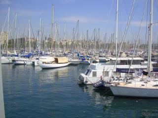 DSC04535.JPG