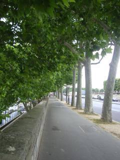 DSC04940.JPG