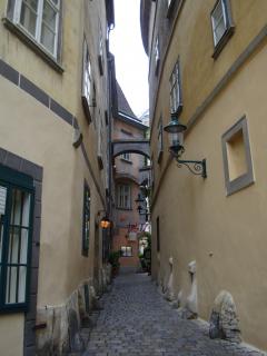 DSC03356.JPG