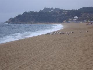 DSC04021.JPG