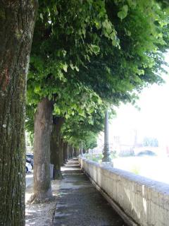 DSC03501.JPG