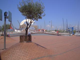 DSC04581.JPG