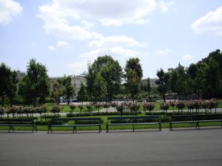 DSC09217.JPG