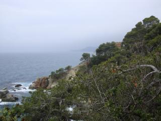 DSC03992.JPG