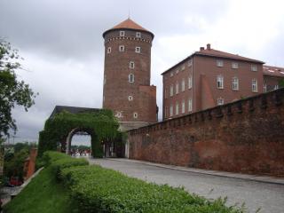 DSC03186.JPG